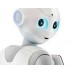 pepper